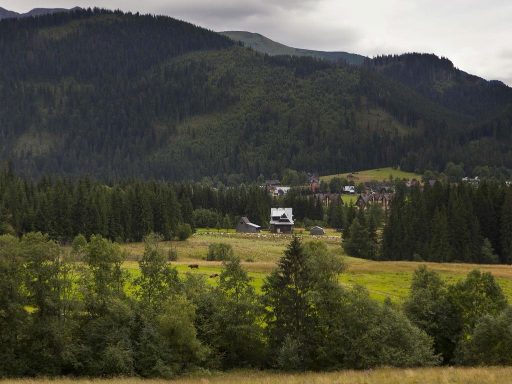 Apartamenty Domino - Kościelisko Exteriör bild